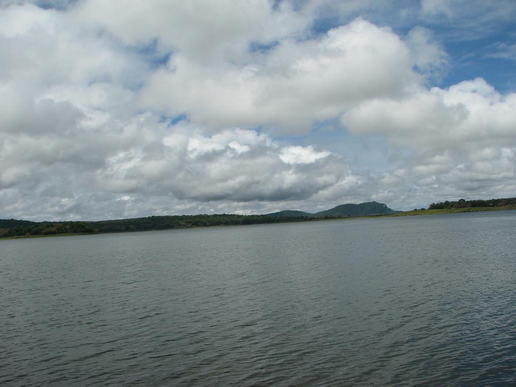 Coorg Jungle Camp Resort Suntikoppa Kültér fotó